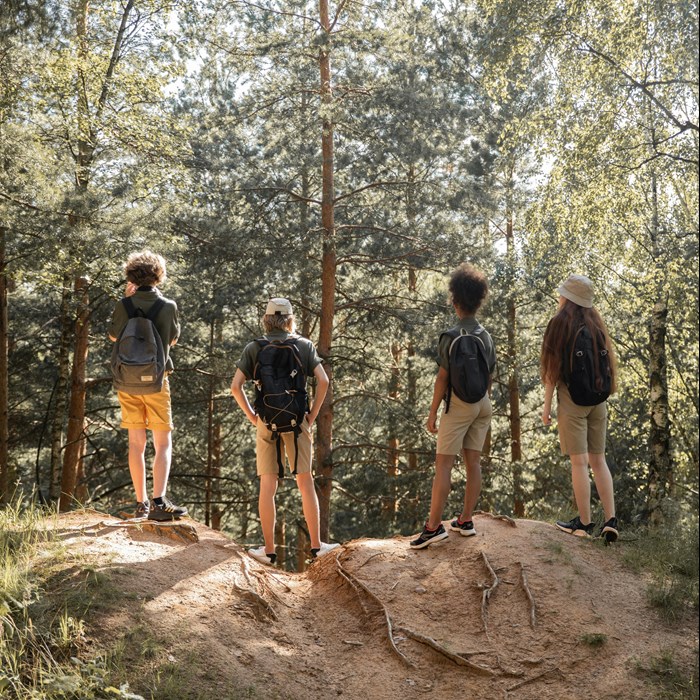 Sibling Activity Days Image For Web
