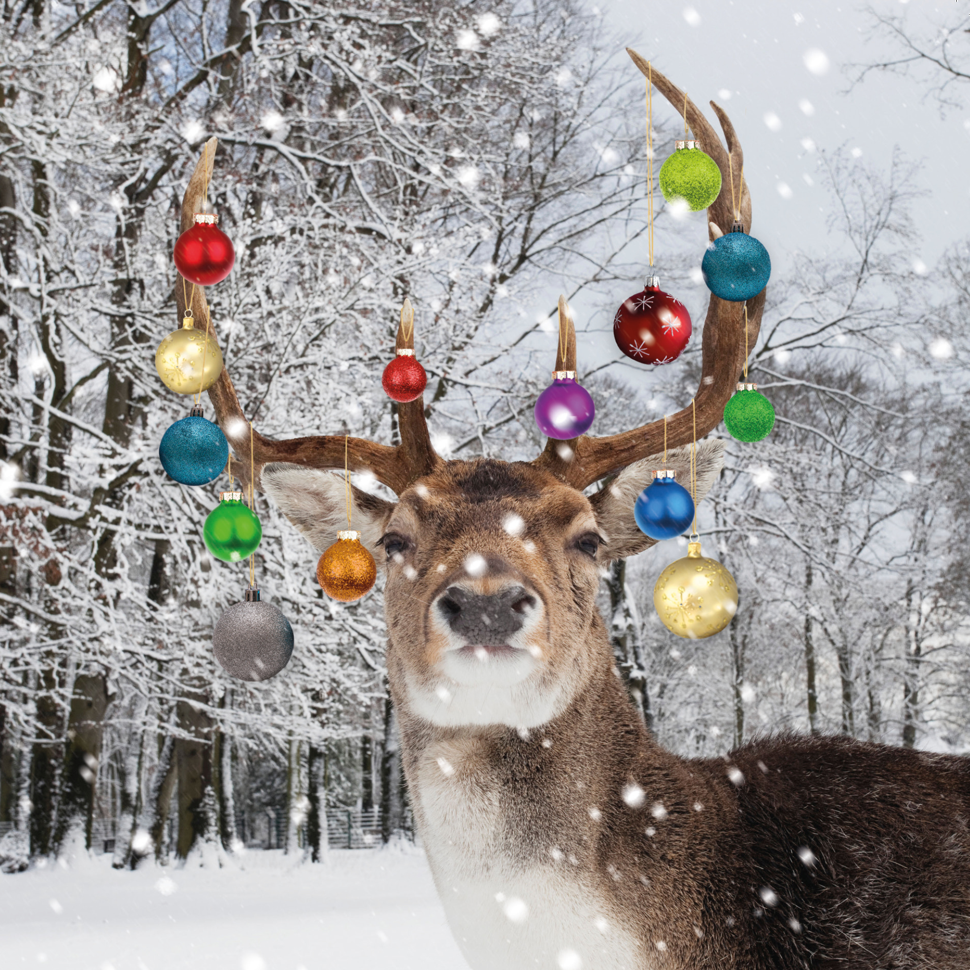 XQ1081 Bauble Stag