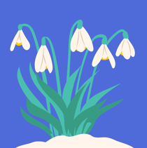 Snowdrop For Tile